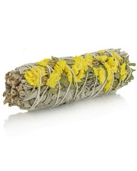 Biała szałwia Kalifornijska Salvia Apiana i Sinuata - żółta