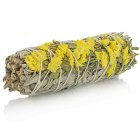 Biała szałwia Kalifornijska Salvia Apiana i Sinuata - żółta