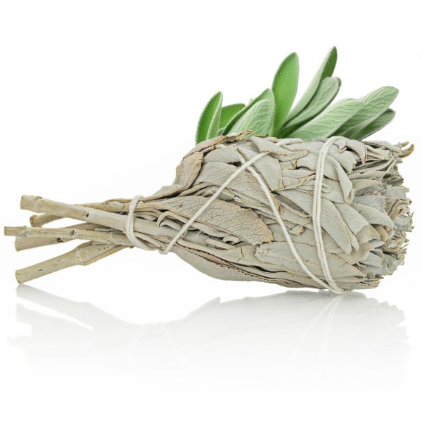 Biała szałwia Kalifornijska Salvia Apiana wysoka jakość pęczek 25g