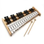 CYMBAŁKI Chromatyczne szkolne DZWONKI 24 tonowe 